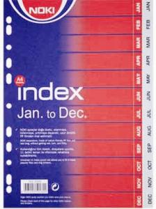 Index A4 carton IAN-DEC, set 12 file