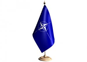 Stegulet NATO din hartie