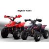 Quad no polar   450e (8 ani-18ani)