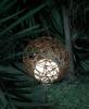 Globo Lighting 33752 lampa solara Globe lemn natur diametru 40 cm, cu 4 LED-uri albe si tarus