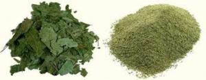 Neem pulbere organica 125 g