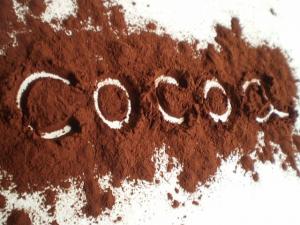 Cacao pulbere raw bio 200g