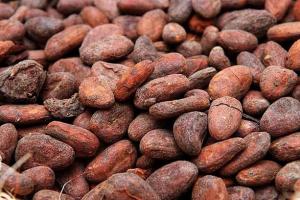 Boabe de cacao intregi bio 200g