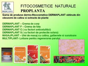Fitocosmetice naturale