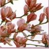 Servetel decorativ "magnolia garden