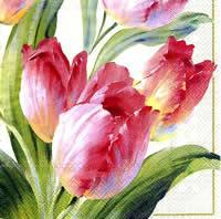 Servetel decorativ "Tulips blooming cream"