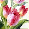 Servetel decorativ "tulips blooming cream"