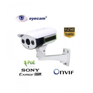 Camera supraveghere IP 2MP cu PoE Eyecam EC1214