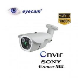 Camera IP Full HD 1080P Eyecam EC-1105