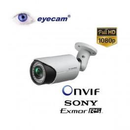 Camera IP Full HD 1080P Eyecam EC-1102 Laser IR