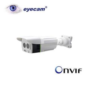 Camera supraveghere IP HD 1.3MP Eyecam EC1204