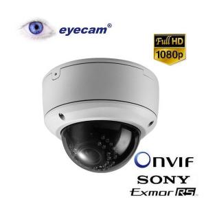 Camera supraveghere IP Full HD Eyecam EC1101