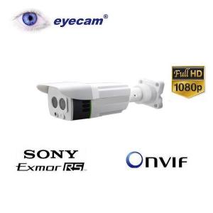 Camera supraveghere IP Full HD 2.4MP Eyecam EC1205
