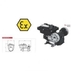 Pompa transfer benzina ATEX EX50 220V Piusi