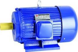 Motor electric 5kw
