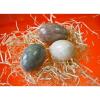 Oua decor din pietre semipretioase -
