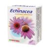 Echinacea