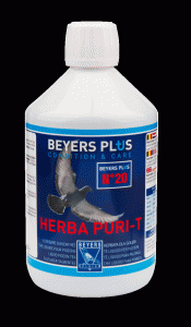 BEYERS PLUS Herba Puri T 500 ml
