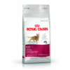 Royal canin  fit 32, 400 gr
