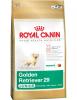 Royal canin golden retriever junior 12