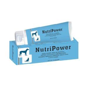 Nutri Power pasta orala 70 gr