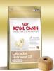 Royal canin labrador junior 1 kg