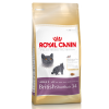 Royal canin british shorthair 2 kg