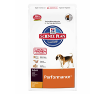 Hill's SP Canine Performance Chicken 12 Kg