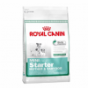 Royal canin mini starter mb 3 kg