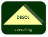 DbSOL Consulting