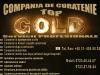 SC COMPANIA DE CURATENIE TOP GOLD SRL