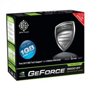 BFG GeForce 8500 GT, 1GB-BFGR851024GTE