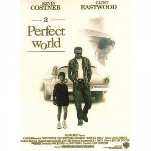 A Perfect World - O Lume Perfecta (DVD)