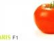 Seminte de tomate nedeterminate Tamaris F1