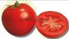 Seminte de tomate nedeterminate