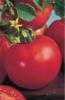 Seminte de tomate nedeterminate marissa f1