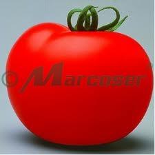 Seminte tomate nedeterminate Cristal F1