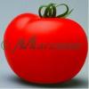 Seminte tomate nedeterminate cristal