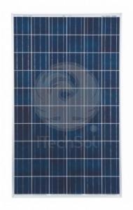Panou solar fotovoltaic policristalin Sharp 255W
