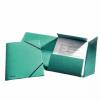 Mapa carton cu elastic lux verde esselte