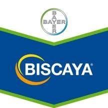 Insecticid BISCAYA 40OD