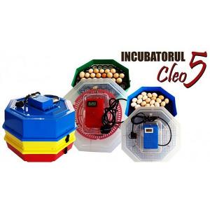 Incubator electric Cleo 5