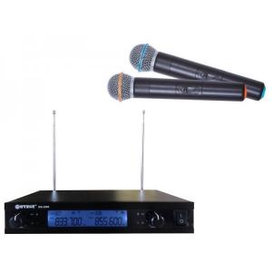 Set microfoane wireless cu receiver WVNGR WG-2009