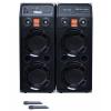 Sistem Karaoke boxe audio Temeisheng DP-2329 cu amplificator