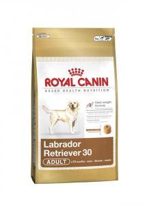 Labrador Retriever Adult 3kg