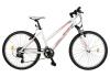 Bicicleta Terrana DHS 2624 - model 2015