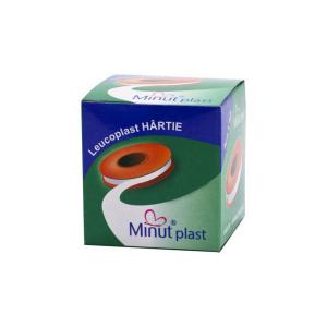 Minut Leucoplast hartie 2.5x5 1buc