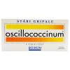 Boiron oscillococcinum granule 6 doze