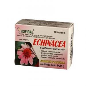 Hofigal Echinacea 500mg 40cps