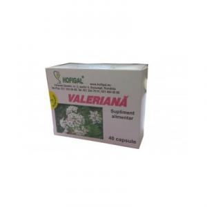 Hofigal Valeriana 40cps